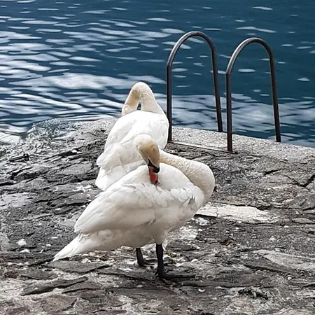 Appartamento Casa Con Vista A